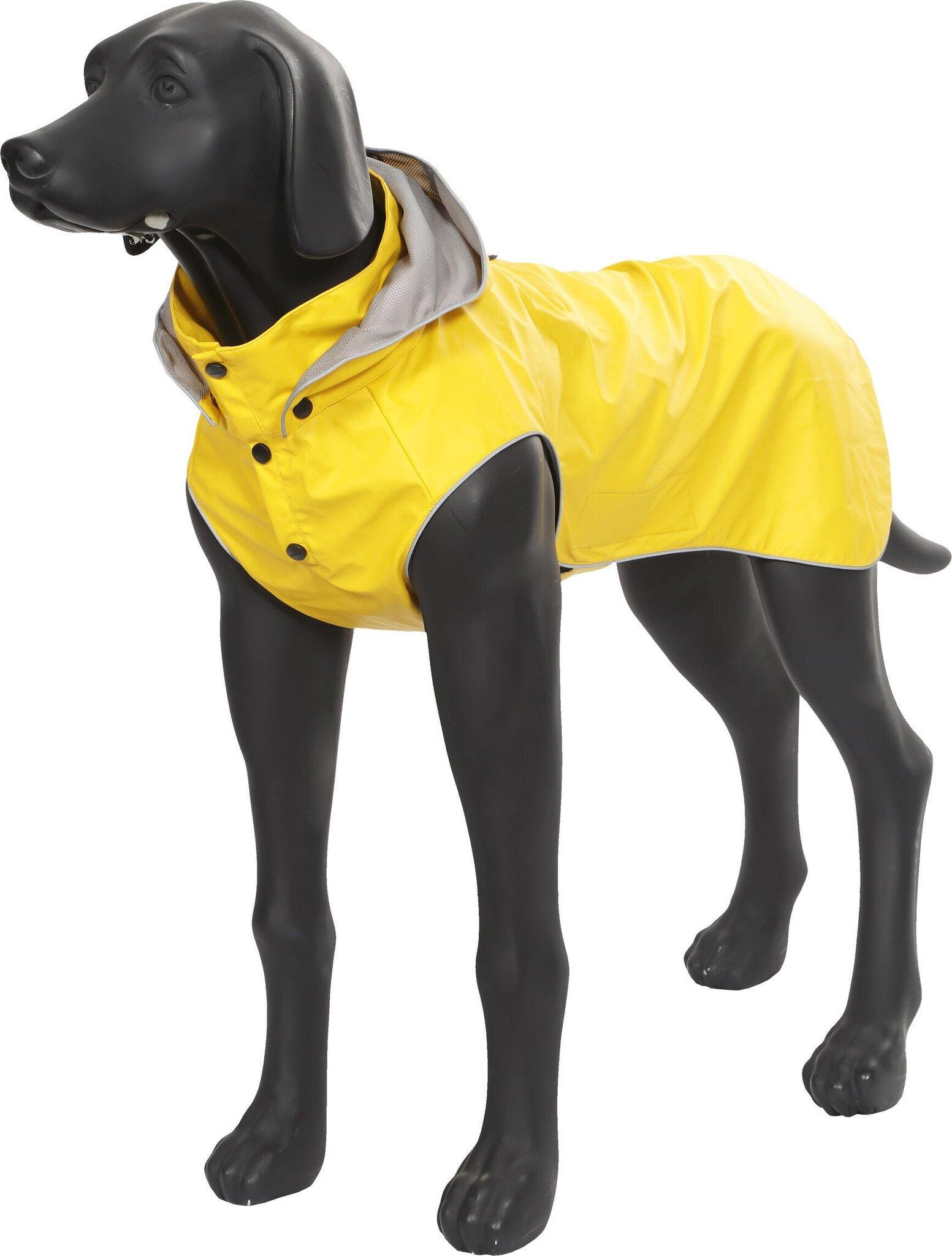 Product gallery image number 5 for product Stream Dog Raincoat - 35/45