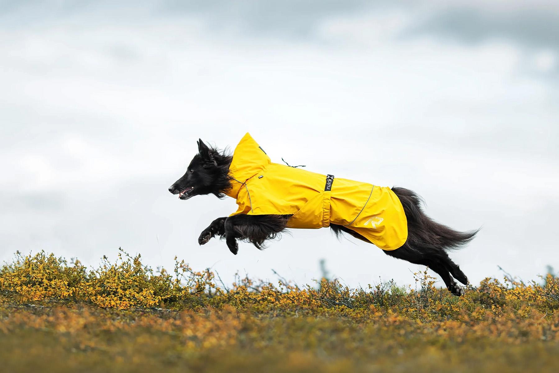 Numéro de l'image de la galerie de produits 6 pour le produit Imperméable pour chien Hayton Eco - 50/55