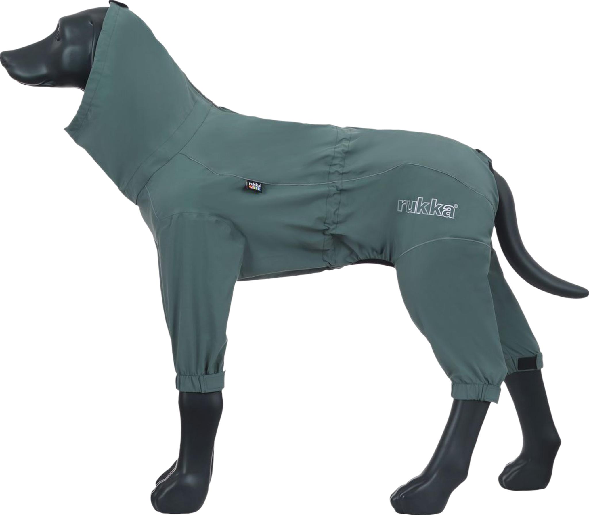 Numéro de l'image de la galerie de produits 2 pour le produit Combinaison pour chien Protect - 25/30