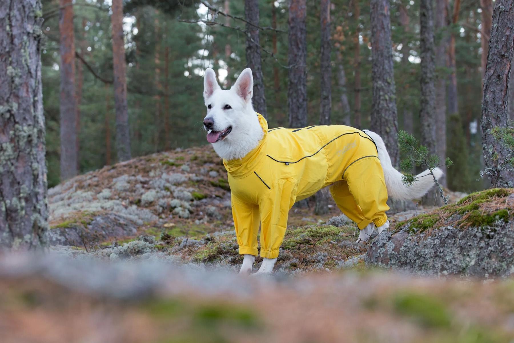 Product gallery image number 4 for product Protect Dog Overall - 60/65