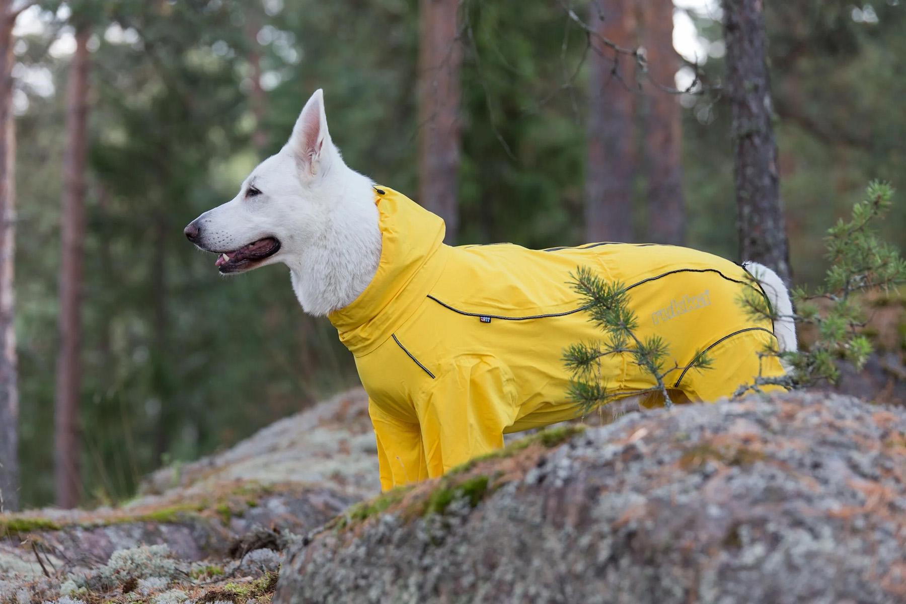 Product gallery image number 5 for product Protect Dog Overall - 60/65