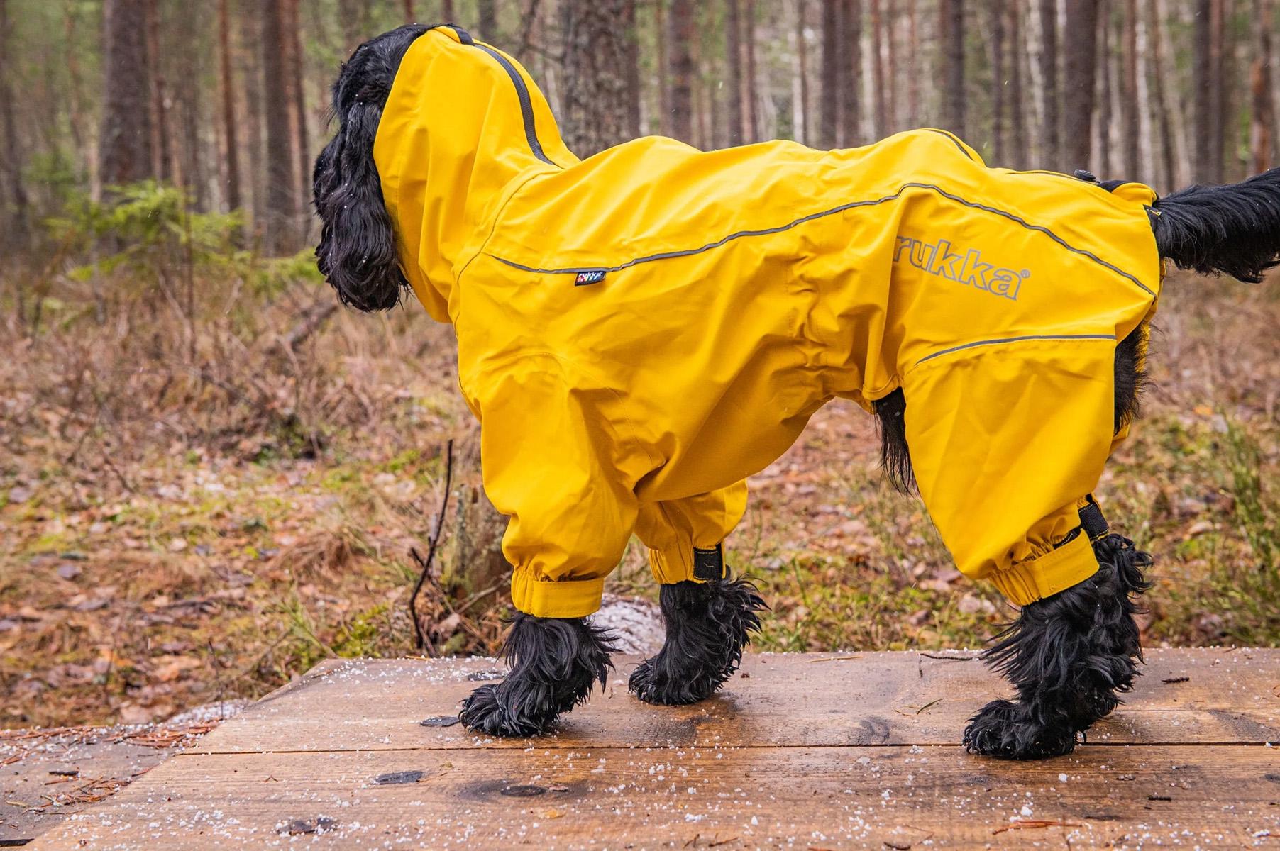 Product gallery image number 6 for product Protect Dog Overall - 60/65