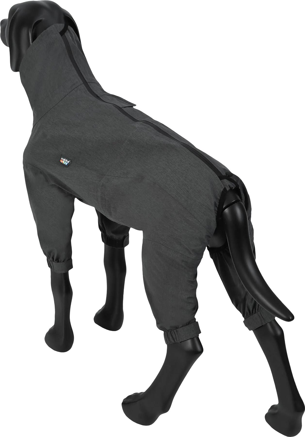 Numéro de l'image de la galerie de produits 2 pour le produit Combinaison pour chien Flash