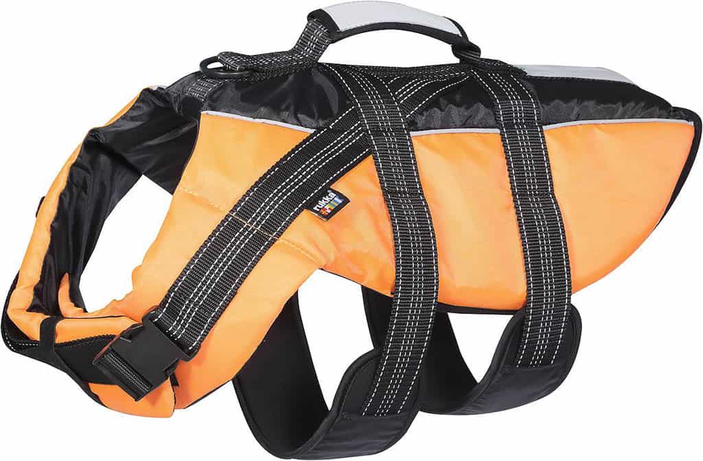 Image de produit pour Gilet de Sauvetage pour chien Safety - Extra Petit/Petit