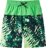 Colour: Summer Green