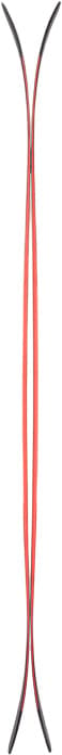 Numéro de l'image de la galerie de produits 3 pour le produit Skis alpins Sender 110 (sans fixations) - Homme
