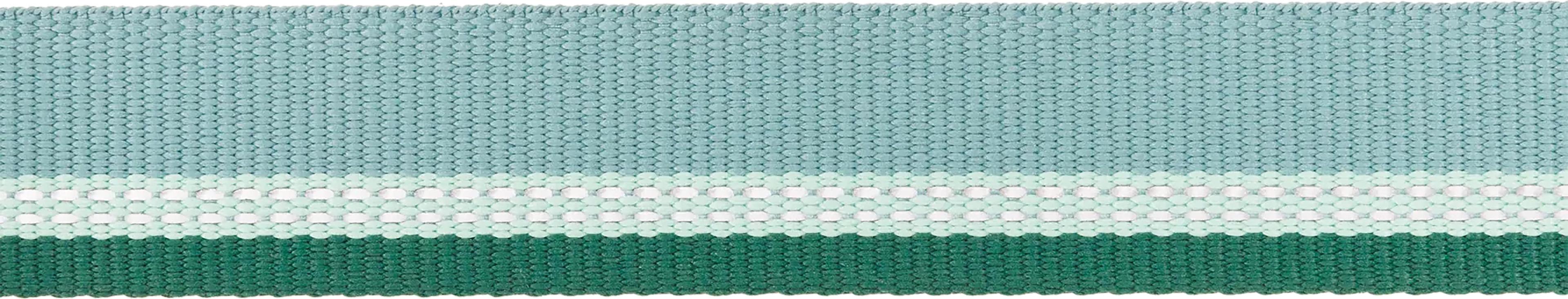 Product gallery image number 3 for product Top Rope Metal Buckle Dog Collar