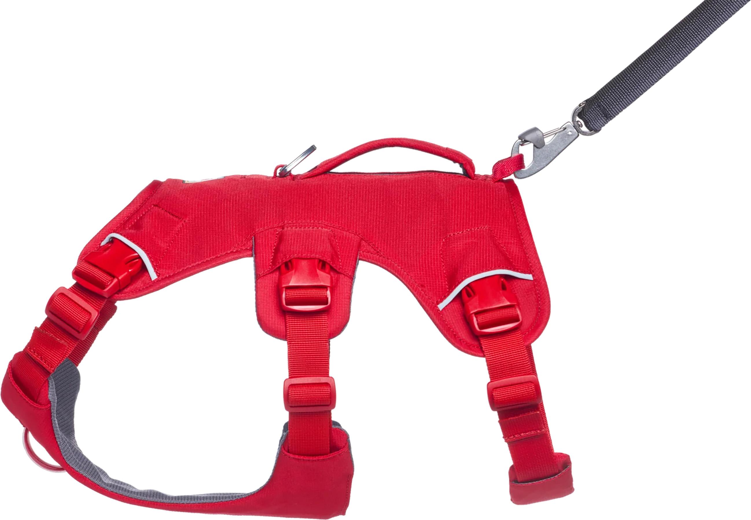Product gallery image number 3 for product Web Master Dog Harness with Handle