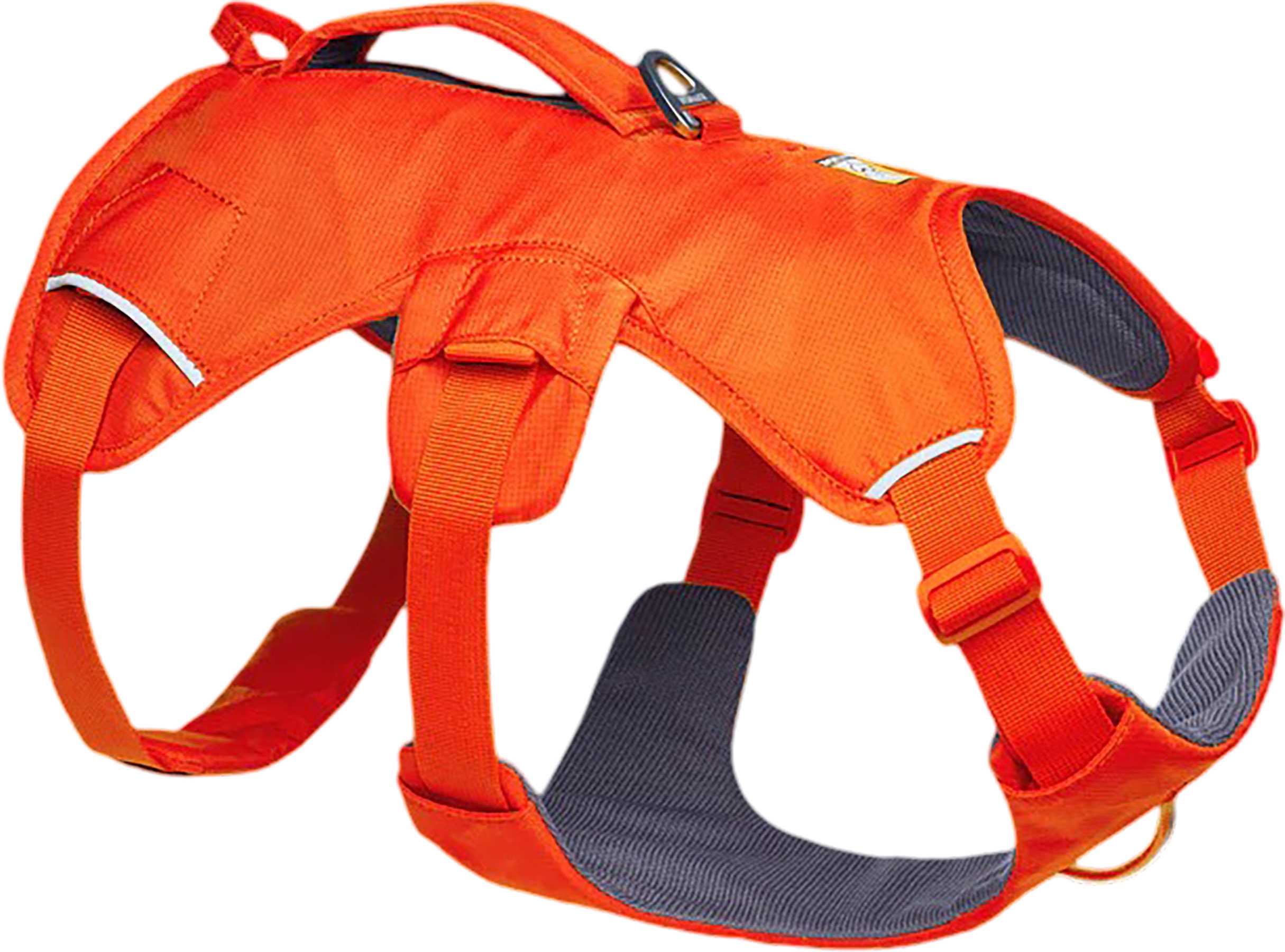 Blaze Orange