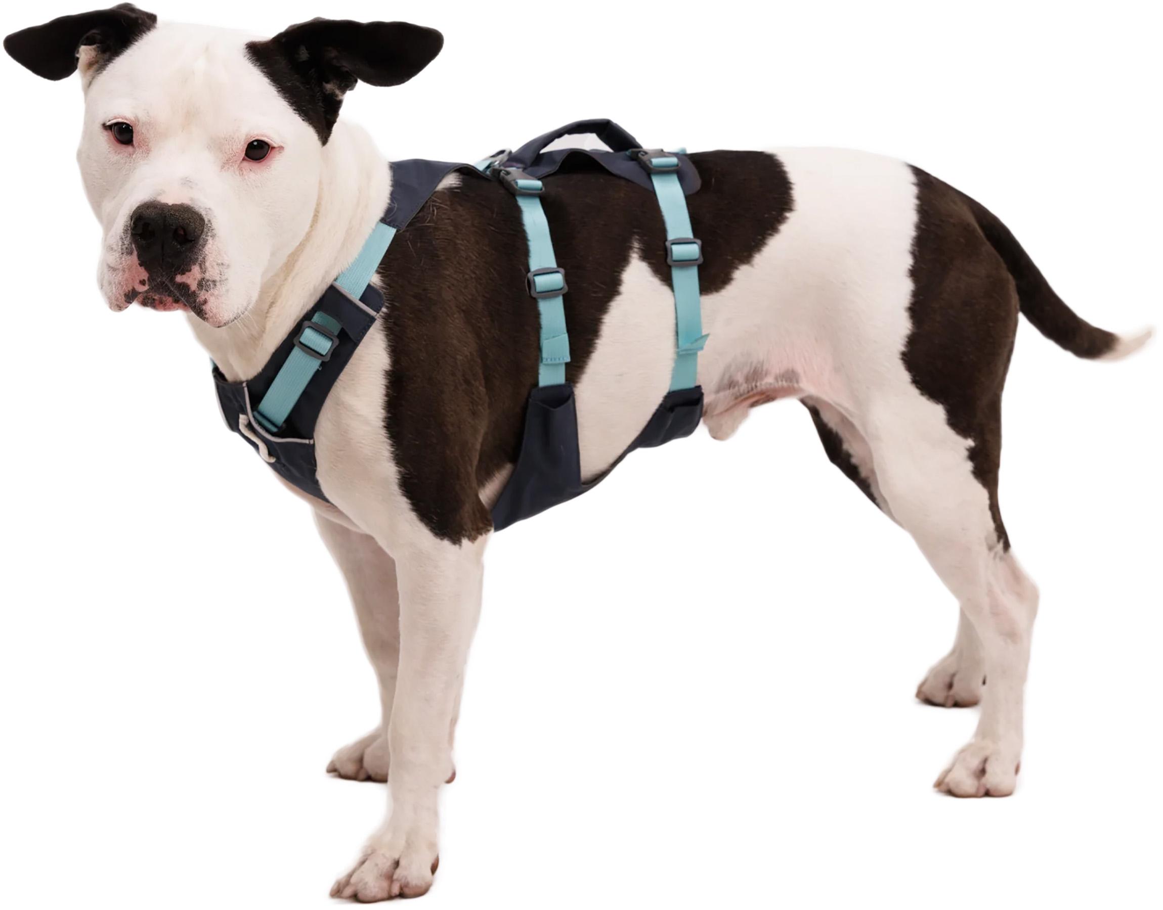 Product gallery image number 2 for product Flagline Dog Harness with Handle