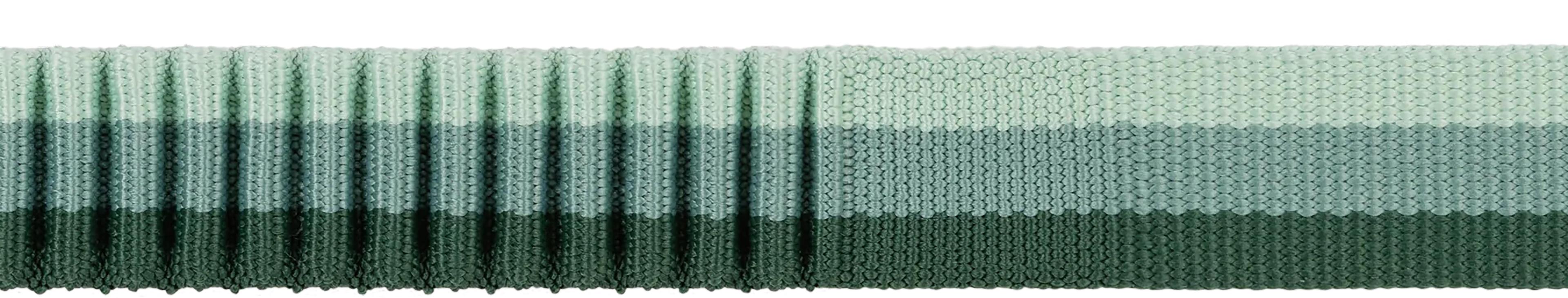 Product gallery image number 2 for product Roamer Bungee 5.5'-7' Dog Leash