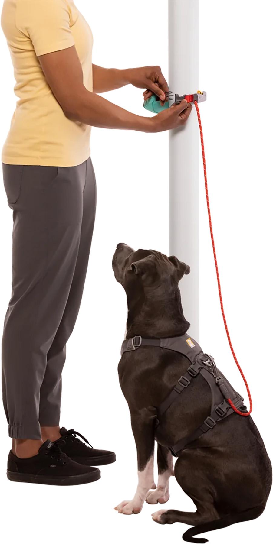 Product gallery image number 6 for product Hitch Hiker Dog Leash