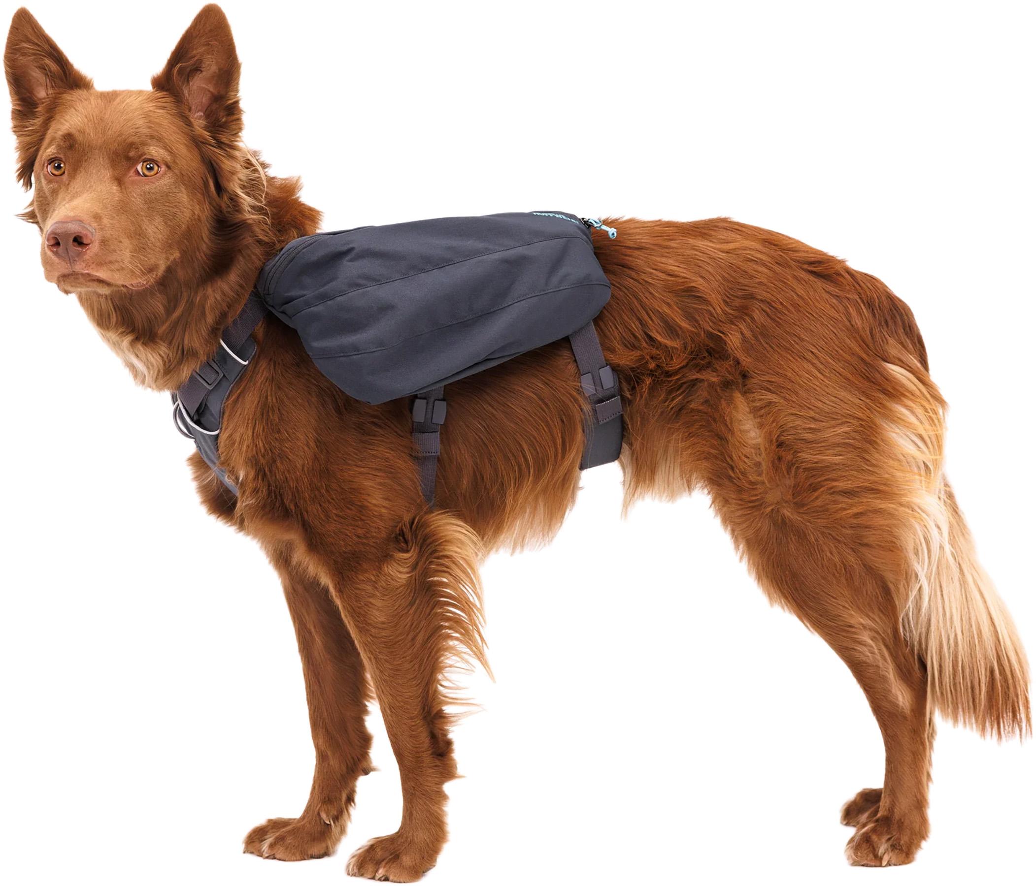 Product gallery image number 2 for product Front Range Dog Day Pack