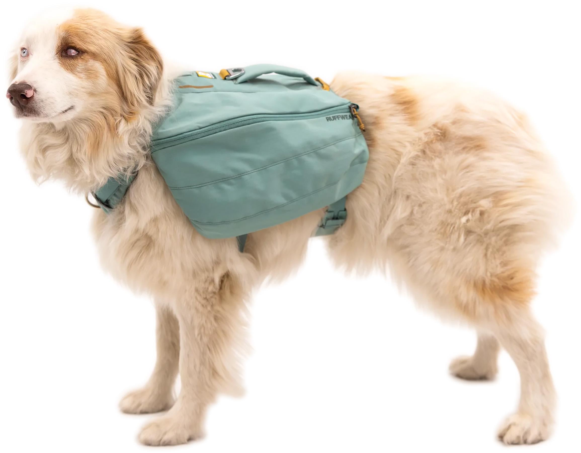 Product gallery image number 2 for product Front Range Dog Day Pack