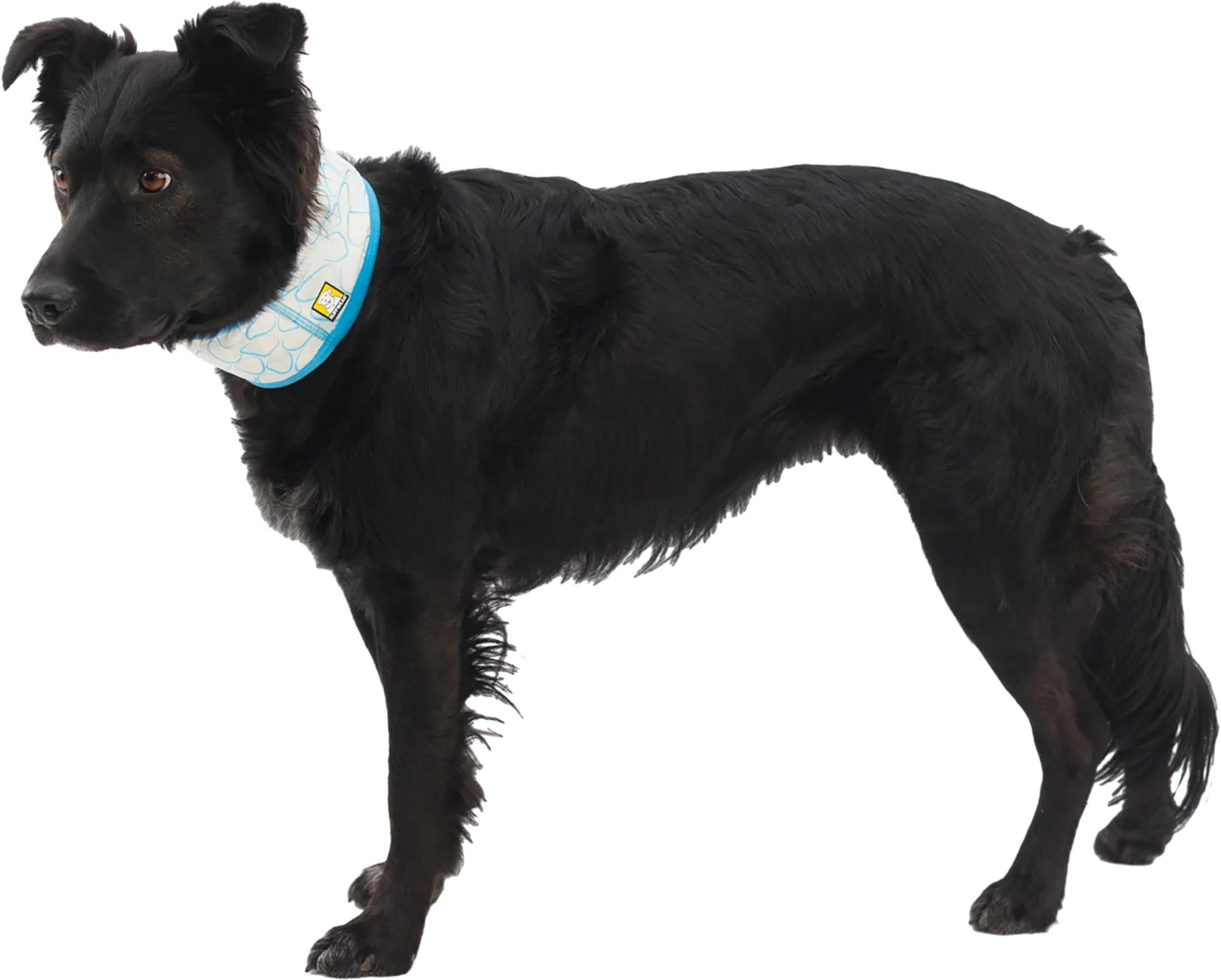 Product gallery image number 2 for product Swamp Cooler Cooling Neck Gaiter