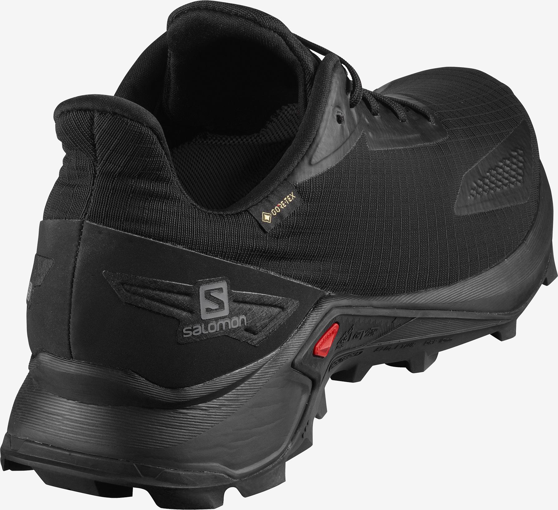 Numéro de l'image de la galerie de produits 4 pour le produit Souliers de course sur sentier Alphacross Blast GTX - Homme