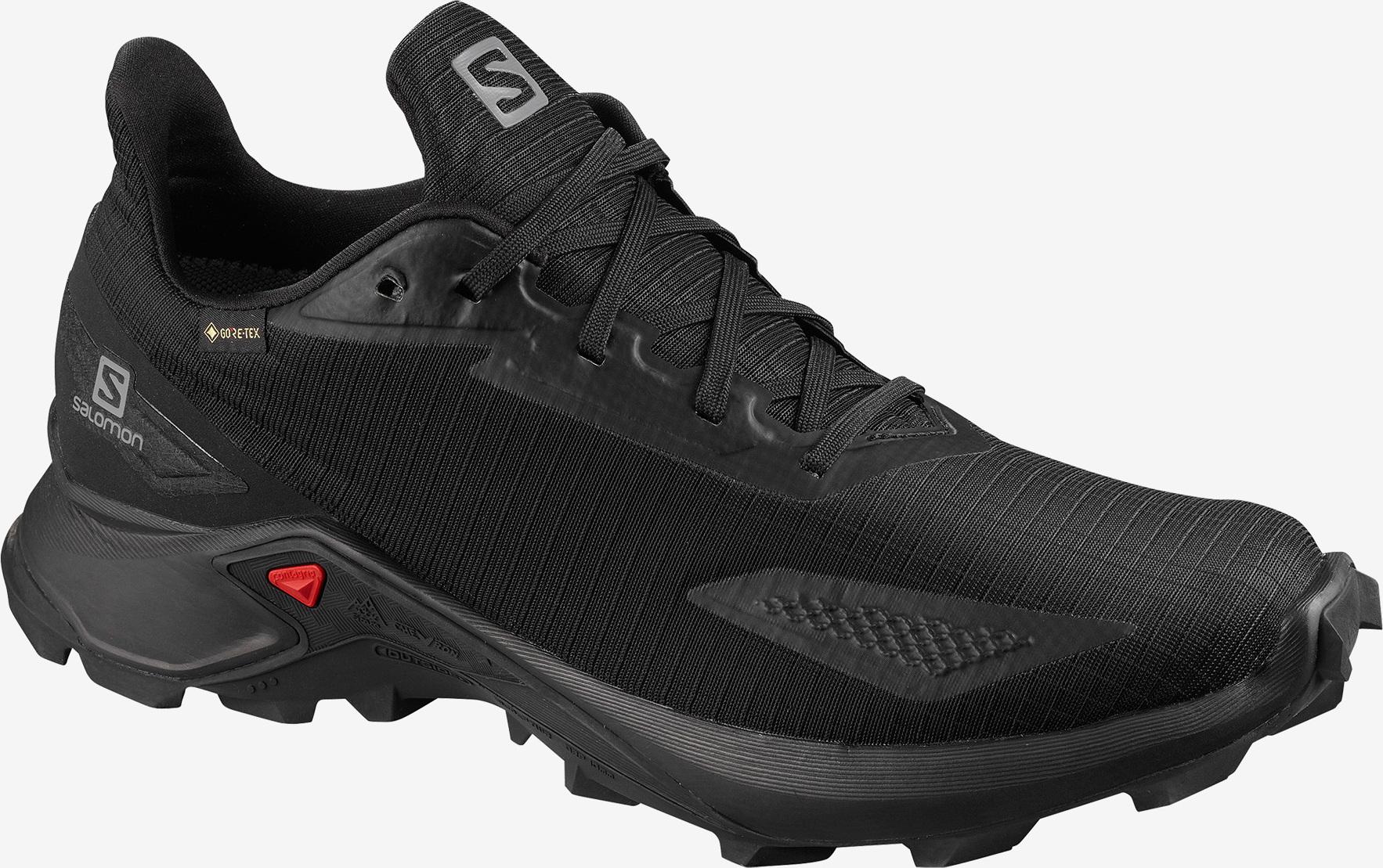 Numéro de l'image de la galerie de produits 1 pour le produit Souliers de course sur sentier Alphacross Blast GTX - Homme
