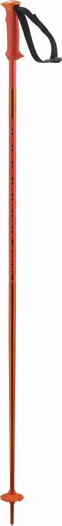 Product image for POLAR - Unisex