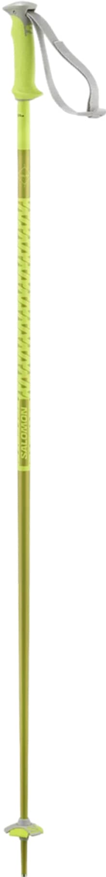 Product gallery image number 2 for product Polar Alpine Ski Poles