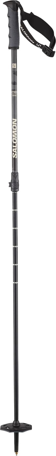 Image de produit pour Bâtons alpin Steep Vario S3