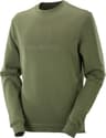 Colour: Olive Night