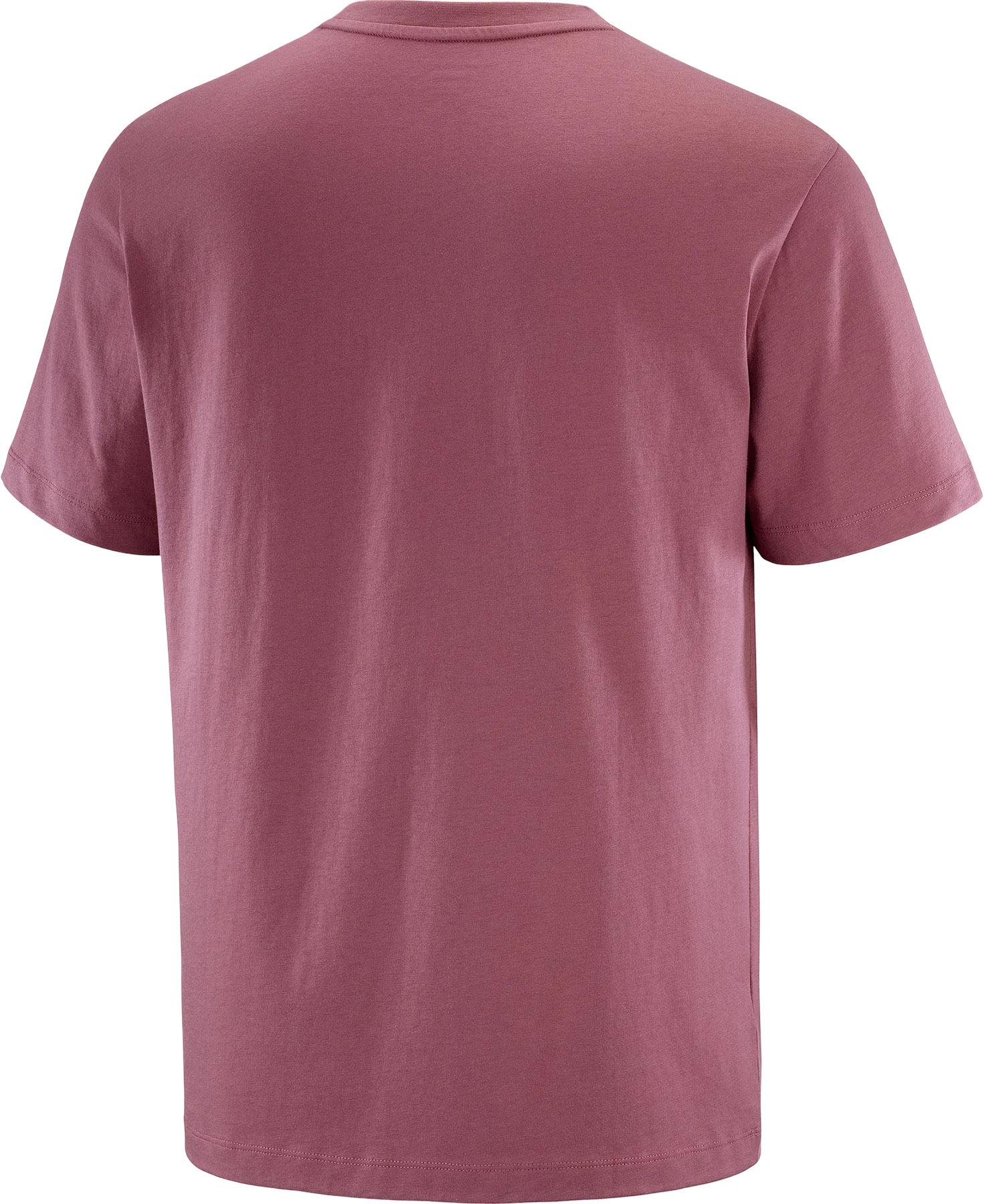 Product gallery image number 2 for product Salomon Logo Short Sleeve Tee - Men's