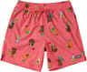 Couleur: Birds Of Paradise - Coral
