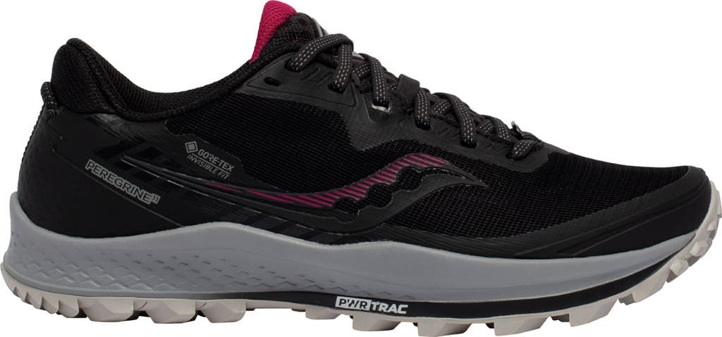 Product gallery image number 3 for product Peregrine 11 Gtx Running Shoes - Women's