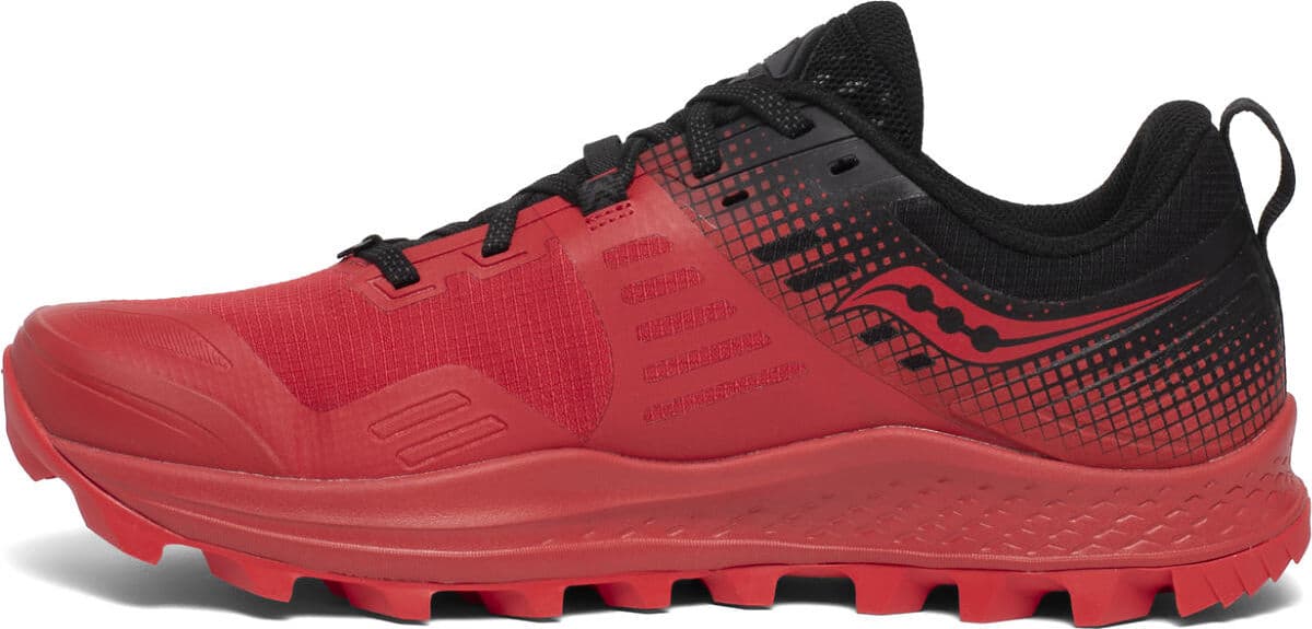 Numéro de l'image de la galerie de produits 2 pour le produit Souliers de course Peregrine 10 ST - Homme