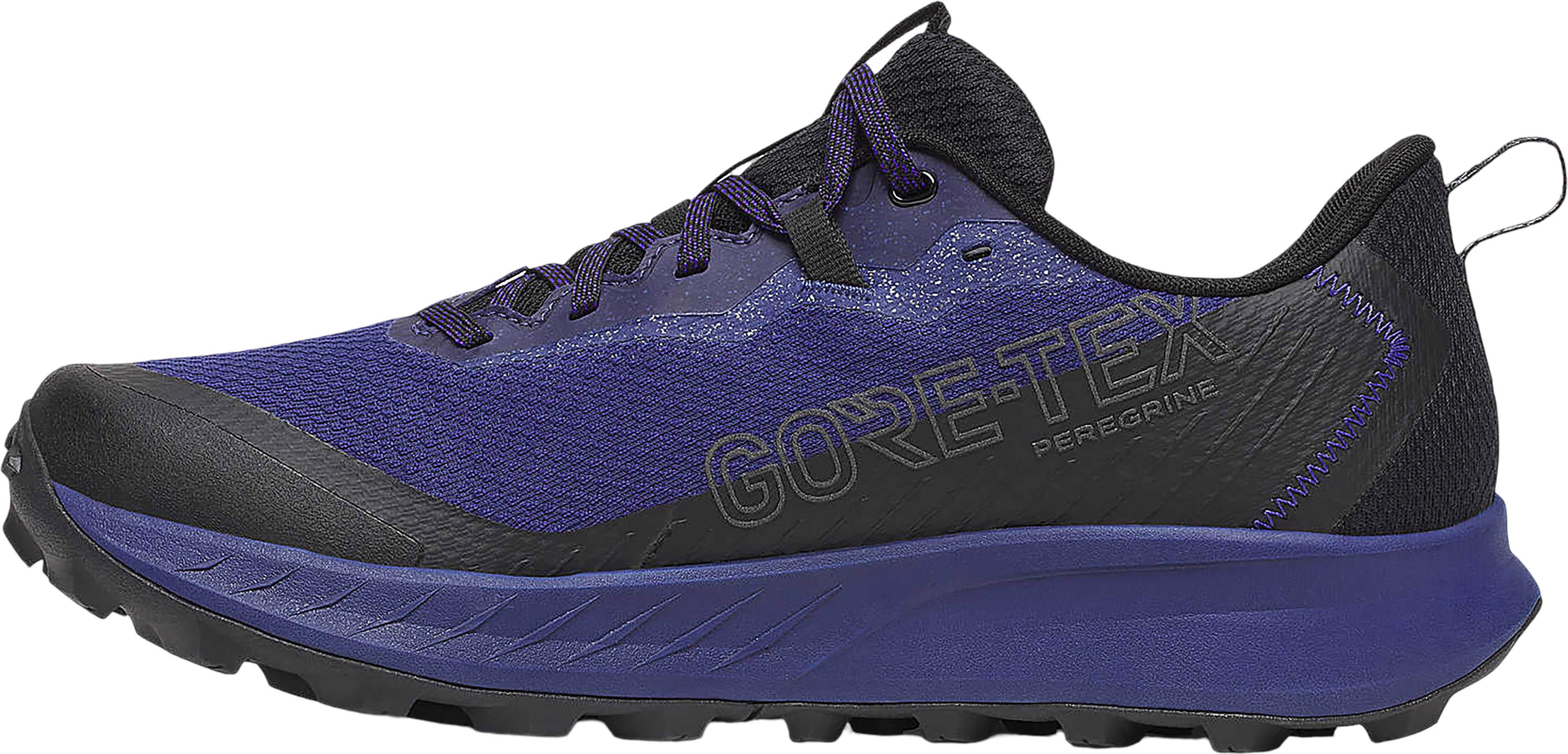 Numéro de l'image de la galerie de produits 4 pour le produit Souliers de course sur sentier GTX Peregrine 15 - Homme