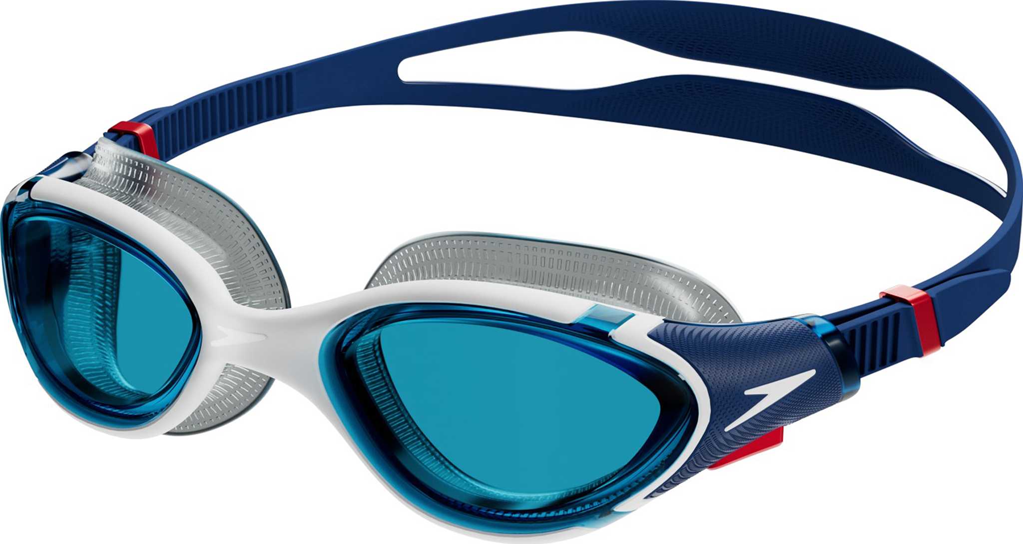 Ammonite Blue - White - Red - Blue