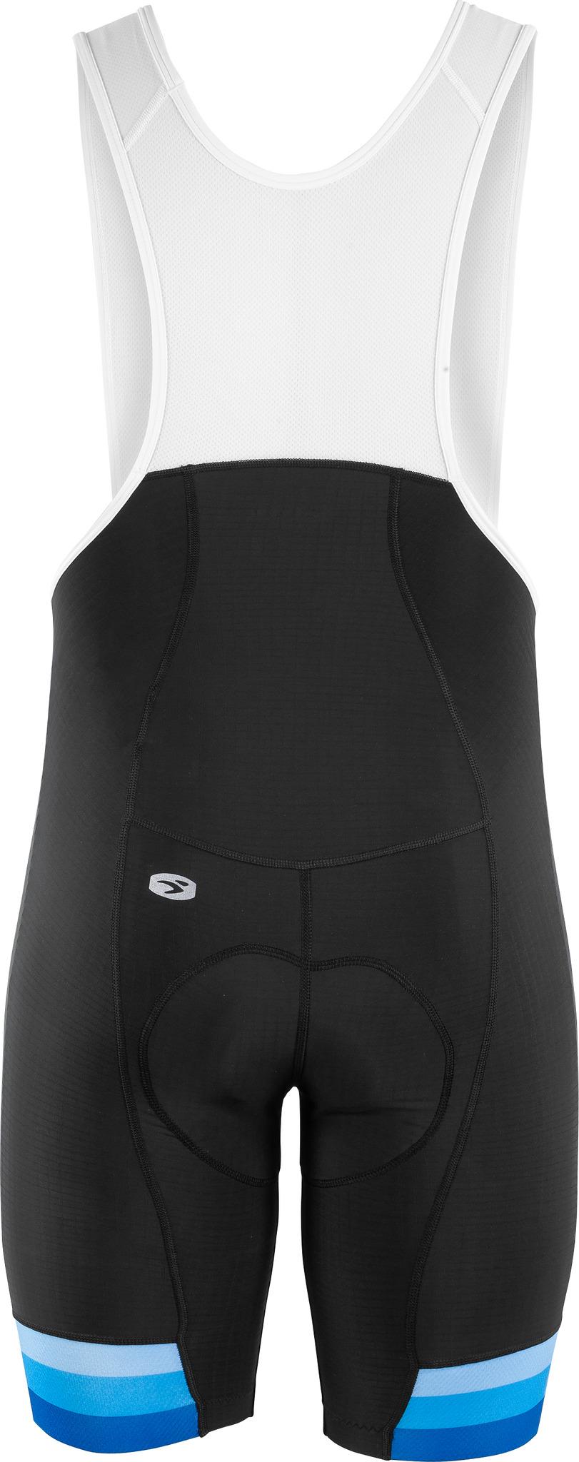 Product gallery image number 2 for product Evolution PRT Bib Short - Men's
