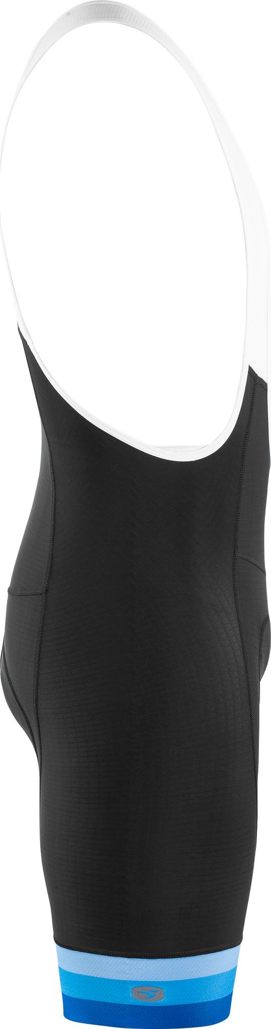 Product gallery image number 3 for product Evolution PRT Bib Short - Men's