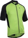 Colour: Berzerker Green