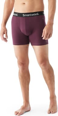 Product gallery image number 2 for product Everyday Merino Boxed Boxer Brief 6 in - Men's