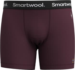 Image de produit pour Boxeurs longs en boîte Everyday Merino 6 po - Homme