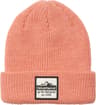 Colour: Wild Salmon