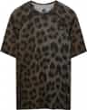 Colour: Leopard