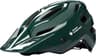 Colour: Gloss Forest Green