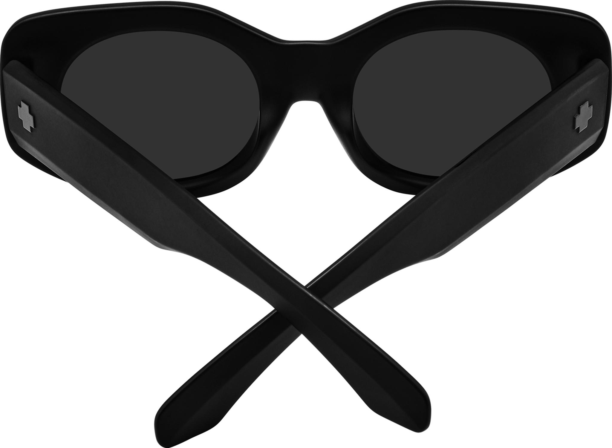 Product gallery image number 2 for product Hangout Sunglasses - Matte Black Frame - Gray Lens