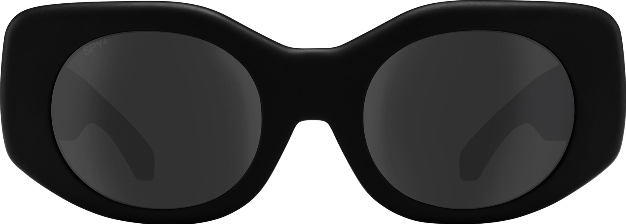 Product gallery image number 3 for product Hangout Sunglasses - Matte Black Frame - Gray Lens