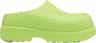 Colour: Tippet - Tippet