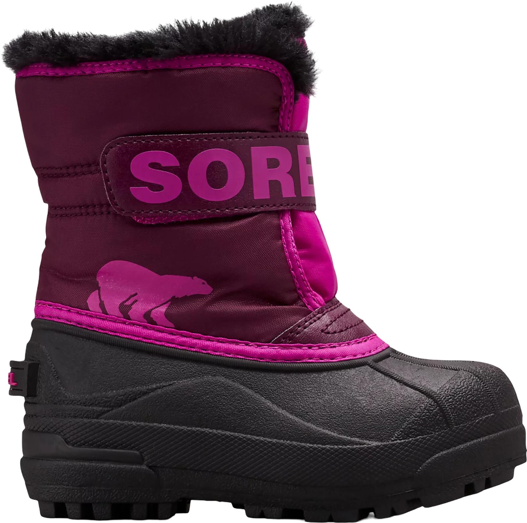 Purple Dahlia - Groovy Pink