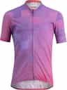 Couleur: Violet
