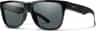 Colour: Black - Polarized Gray
