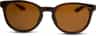Colour: Tortoise - Polarized Brown
