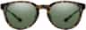 Colour: Vintage Tortoise - Chromapop Polarized Gray Green