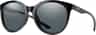 Colour: Black - Polarized Gray