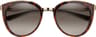 Colour: Polarized Brown Gradient - Tortoise