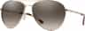 Couleur: Matte Gold - Polarized Brown Gradient